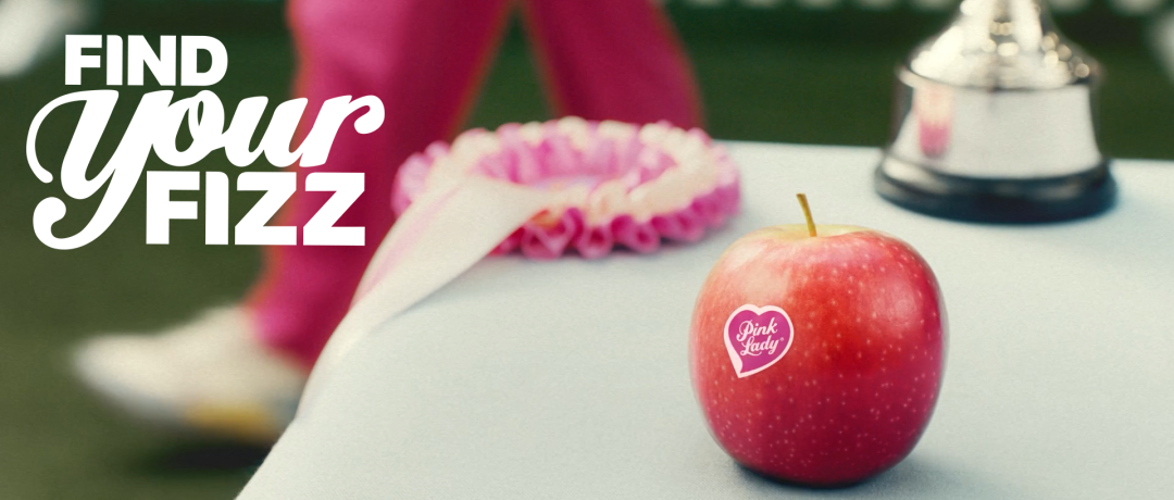 Find Your Fizz