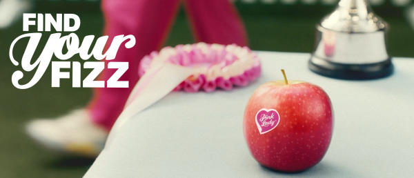 Find Your Fizz