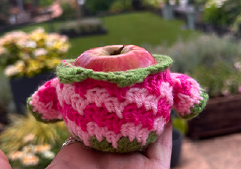 Crochet, Create & Find Your Fizz with Pink Lady® Apples
